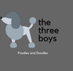 Three Boys Poodles & Doodles